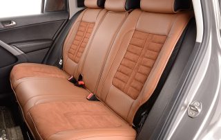 car interior for mold removal